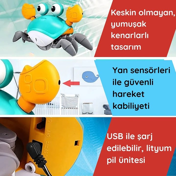 Yürüyen Yengeç